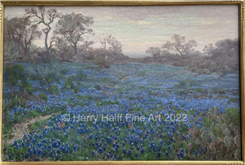 Bluebonnets at Twilight Near San Antonio