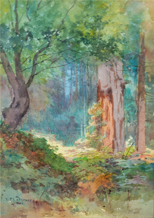 In the pines, Pacific Grove - Image 3 of 4