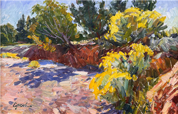Dry Arroyo with Chamisa