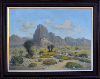 "Yucca Point"  Van Horn Texas - Image 1 of 3