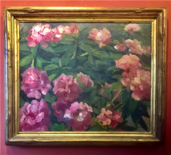 Rhododendrons - Image 1 of 4