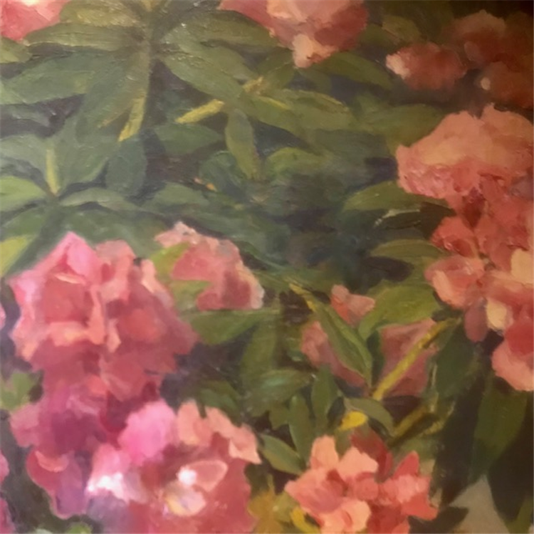 Rhododendrons - Image 2 of 4