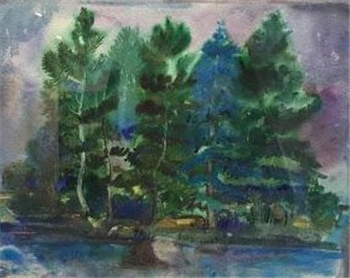 Untitled (Pine Trees in Maine)