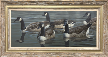 Kent Pond Canadas