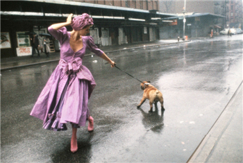 Walking the Dog, New York