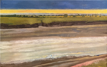 Skagit River Slough