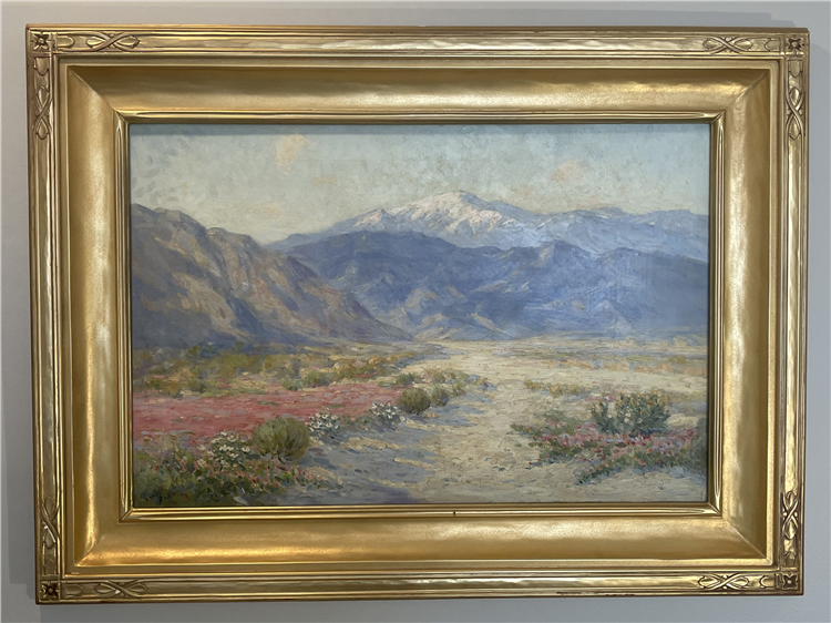 Wild Flowers in High Desert Near Palm Springs California - Pink & White Flowers Snowy Mountains - Image 2 of 4