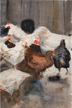 The Roost
