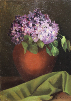 Hydrangea