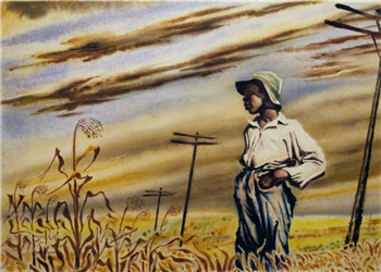 Boy in Cornfield - Image 1 of 2