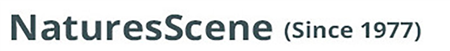 Nature's Scene logo - Robert Bateman specialist dealer in 93 Arsmtrong Avenue, Unit 1, Georgetown, ON L7G 4S1, Canada