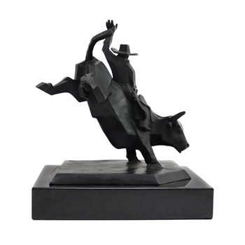 Bull Rider