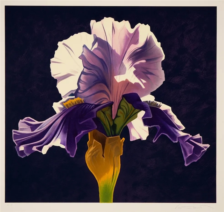 Purple Iris - Image 2 of 2
