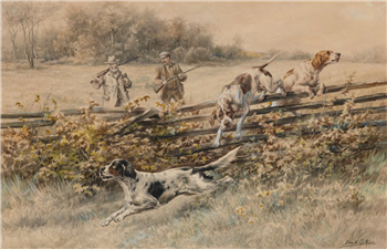 Setters Over a Snake Rail Fence