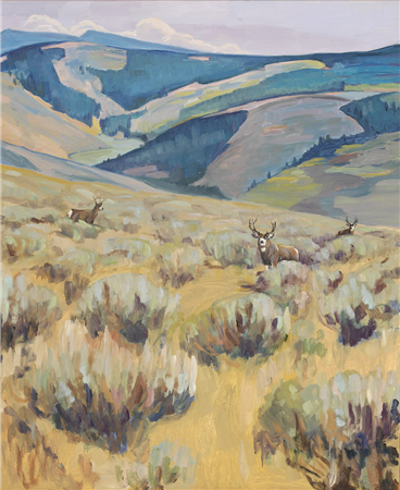 Muley Basin