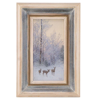 Deer in Forest - Image 1 of 3