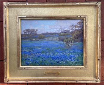 Blue Bonnets- San Antonio Texas