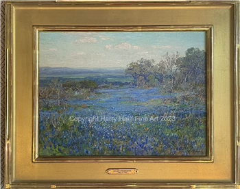 Bluebonnets