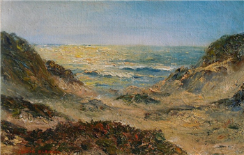 Coastal  Sunset
