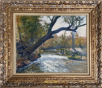 Texas Creek