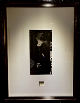 Gustav Klimt biographical photo