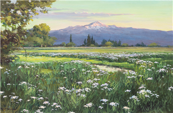 Where wild iris grow - Image 1 of 3