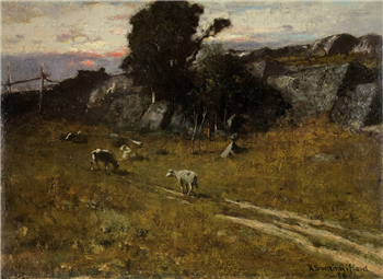 Evening Landscape