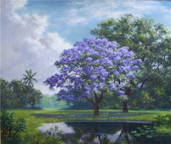 Jacaranda