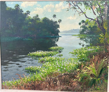 water lilly's delight St Lucie river 1955