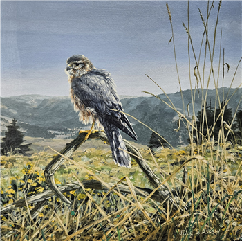 MERLIN