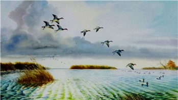 Canvasback Drakes by Larry Toschik - Image 1 of 2