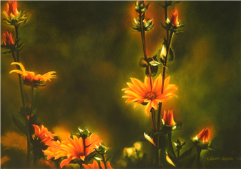 Where Wild Flowers Grow - Image 1 of 2