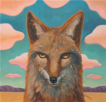 Eyeing the Plains