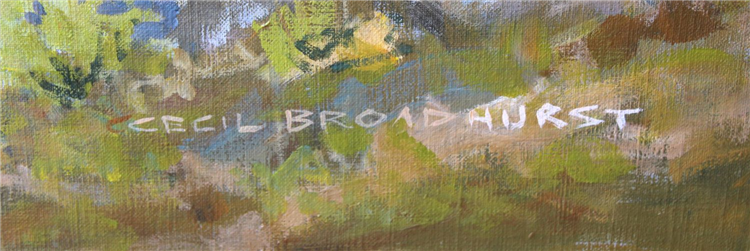 BORDER INCIDENT - Image 3 of 4