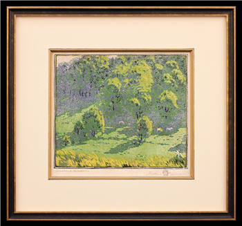 Woodland Meadows