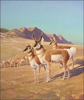 The Speed King of the Plains