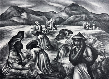 Mexican Harvest