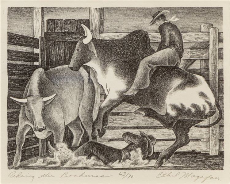 Riding the Brahmas - Image 2 of 2