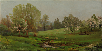 Orchard in Spring