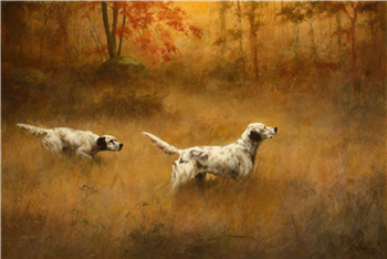 Setters in a Field