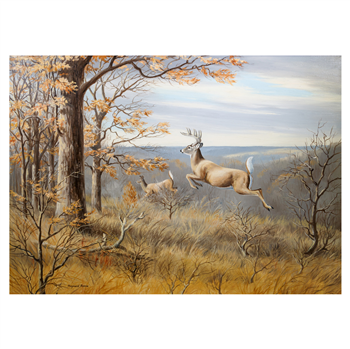 Majestic Mates - Image 1 of 3