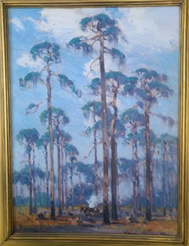 Clearing Land in Florida