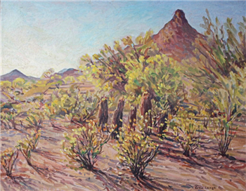 Desert in Bloom - Image 1 of 4
