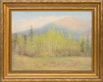 Aspen, Craig Meadows in Spring (Colorado) - Image 1 of 2