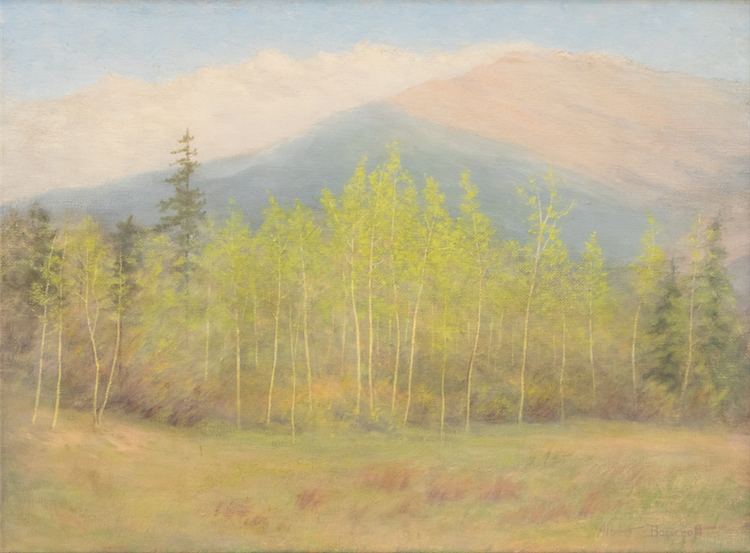 Aspen, Craig Meadows in Spring (Colorado) - Image 2 of 2