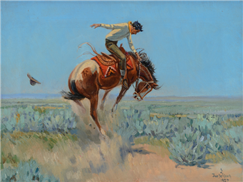 Bronco