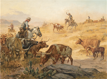Cutting Out Mexican Cows - Image 1 of 4