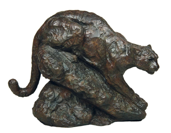 Cougar on Rock #7/10