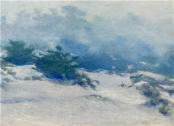 Misty Dunes,  Carmel
