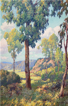 Eucalyptus